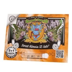 Sweet Mimosa XL Auto®
