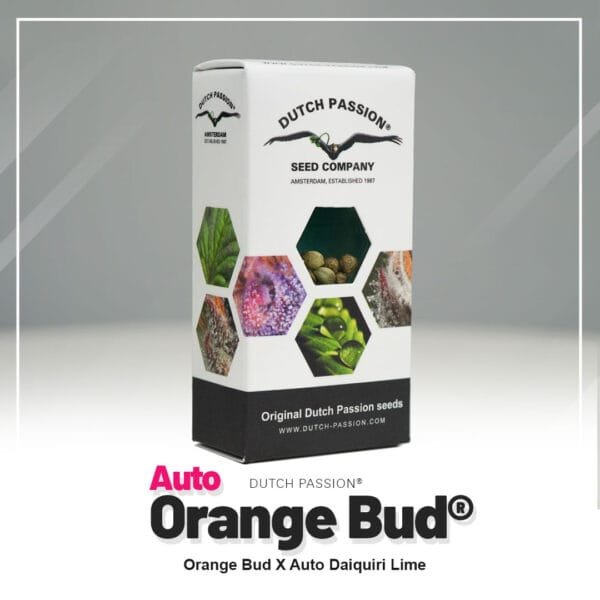 Auto Orange Bud®