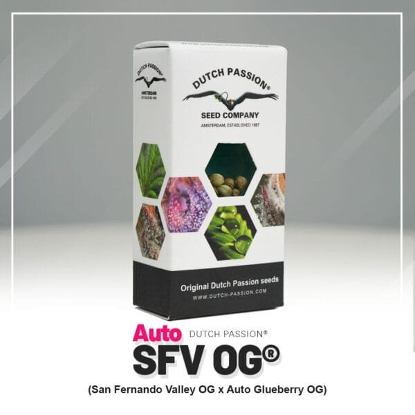 Auto SFV OG
