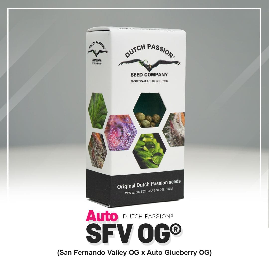 Auto SFV OG