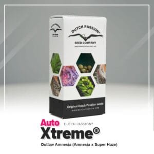 Auto Xtreme Haze®