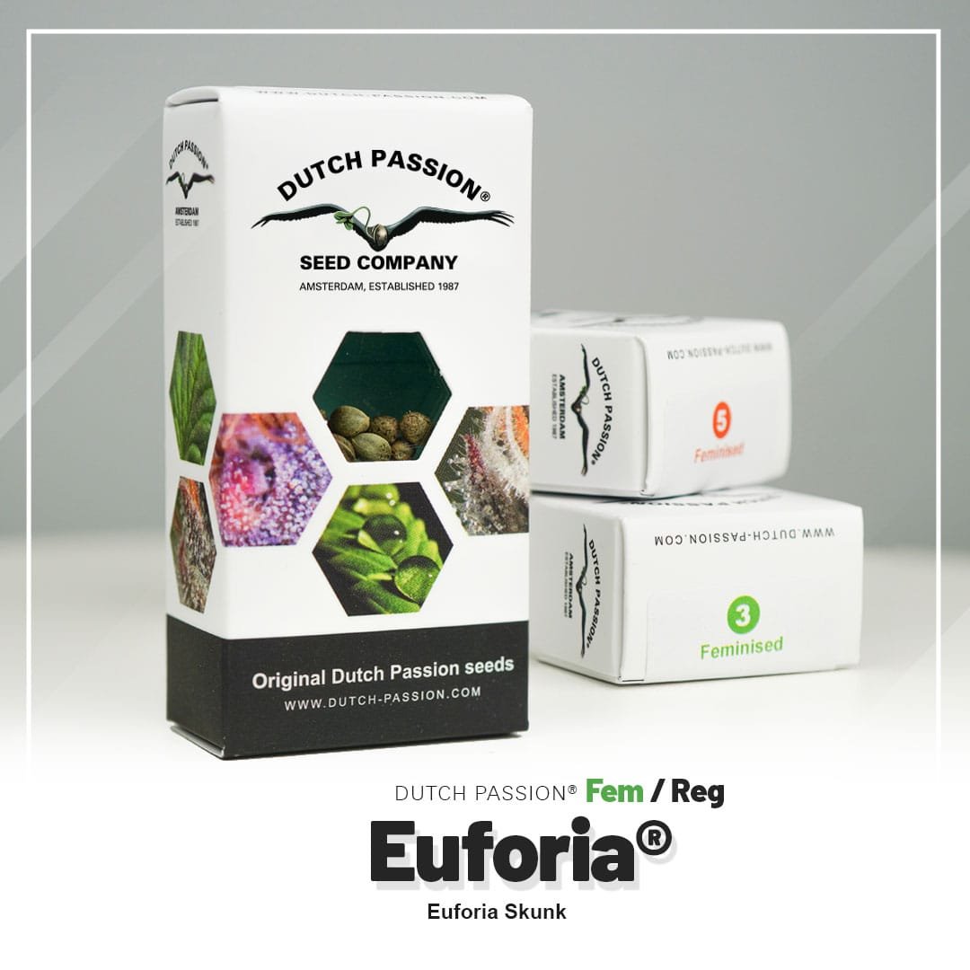 Euforia®