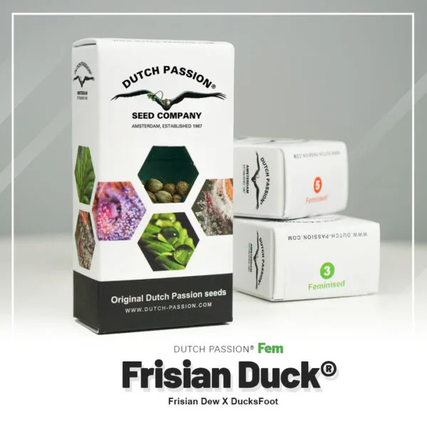 Frisian Duck®