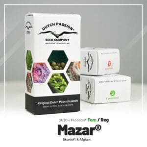 Mazar®