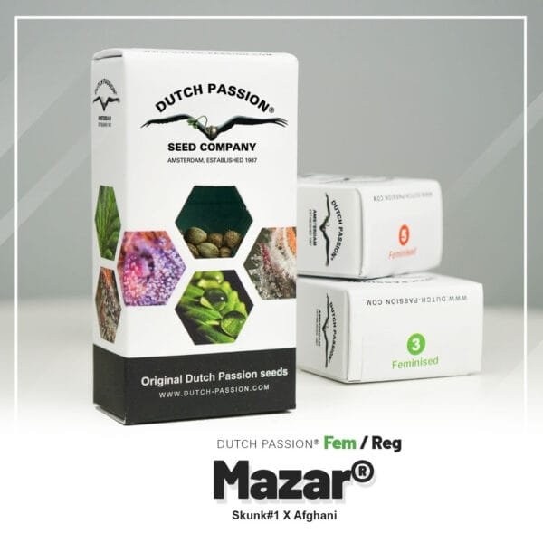Mazar®