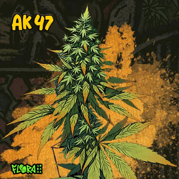 AK 47 Auto - Imagem 2