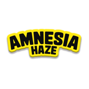 Amnesia Haze