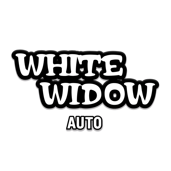 White Widow Auto