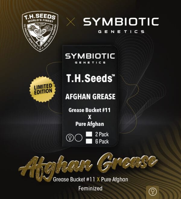 Afghan Grease