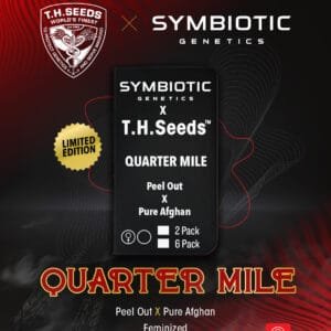 Quarter Mile