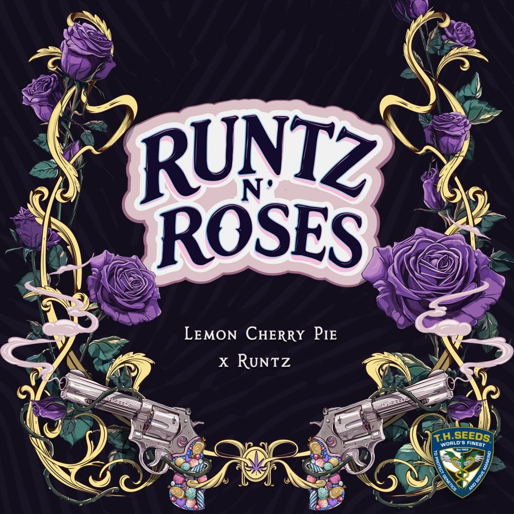 Runtz N' Roses