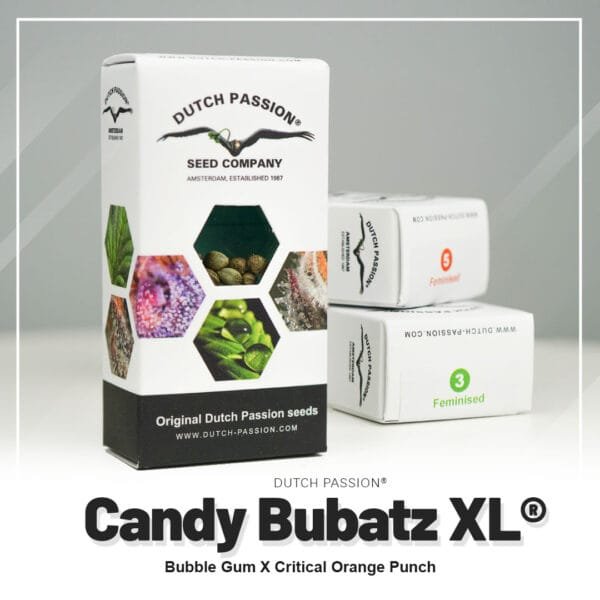 Candy Bubatz XL