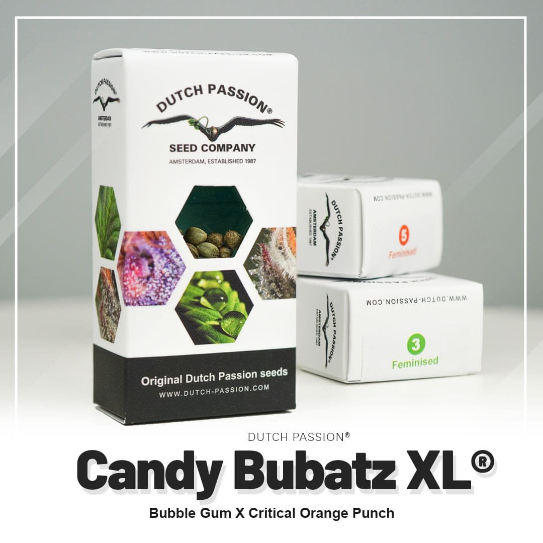 Candy Bubatz XL