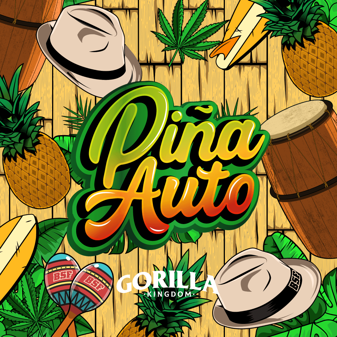 Gorilla Piña Auto