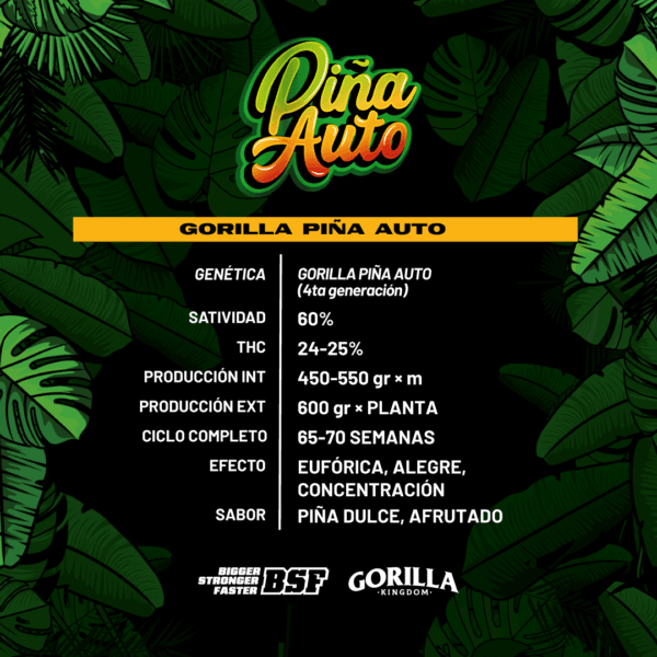 Gorilla Piña Auto - Imagem 4