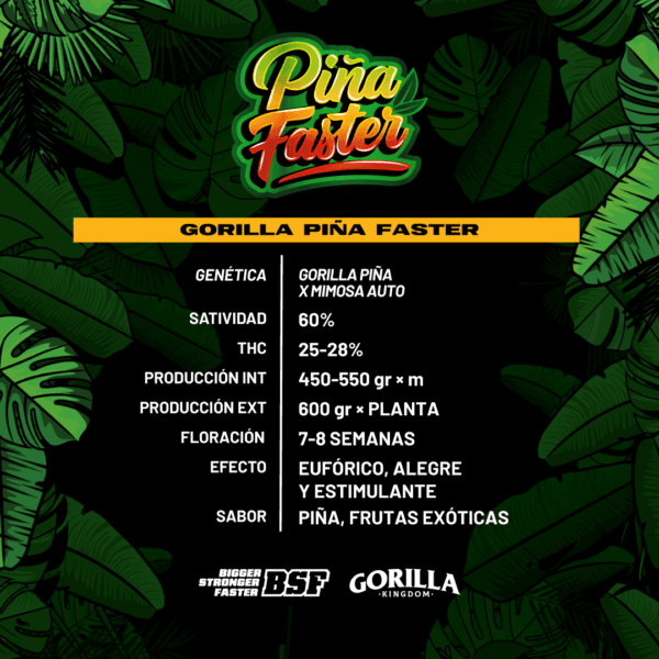 Gorilla Piña Faster - Imagem 4