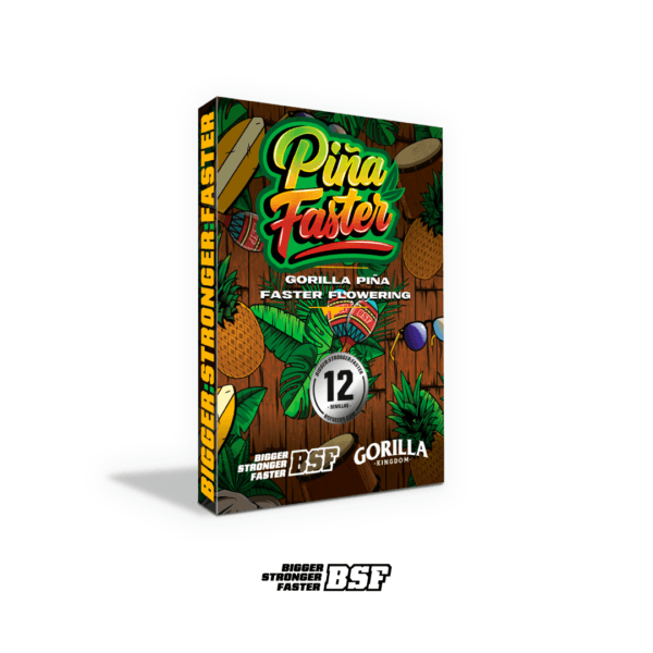 Gorilla Piña Faster - Imagem 3