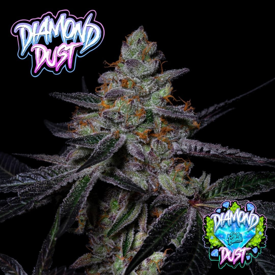Diamond Dust