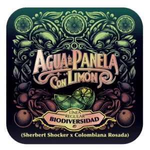 Agua e Panela con Limón