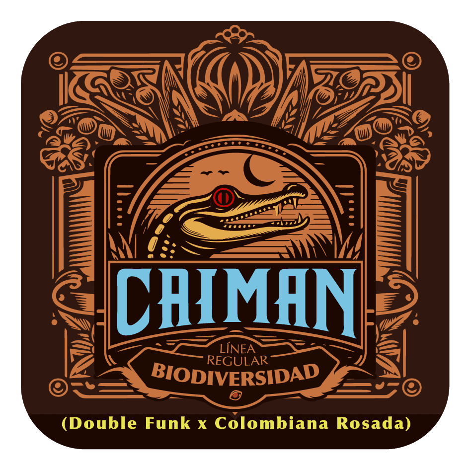 Caiman