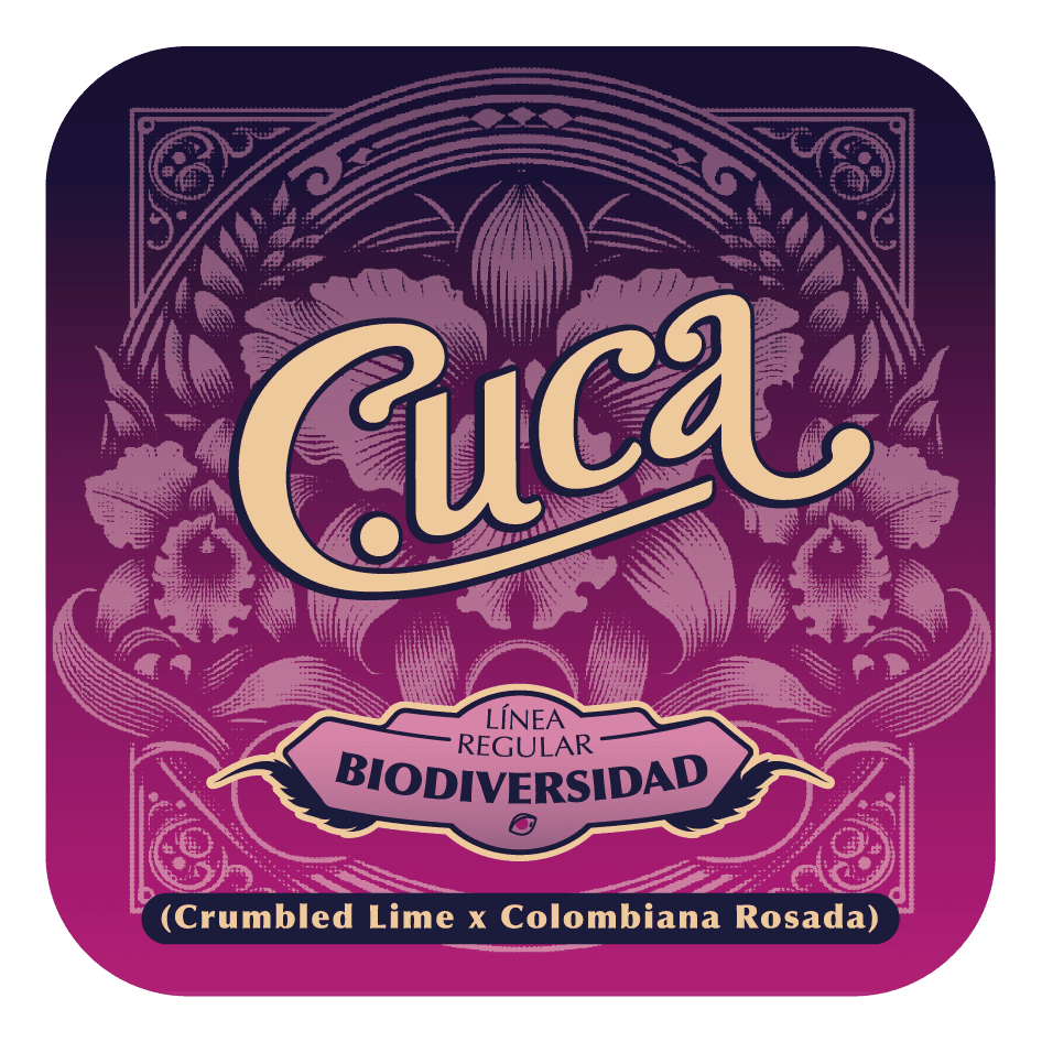 Cuca