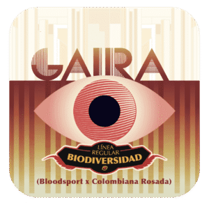 Gaira