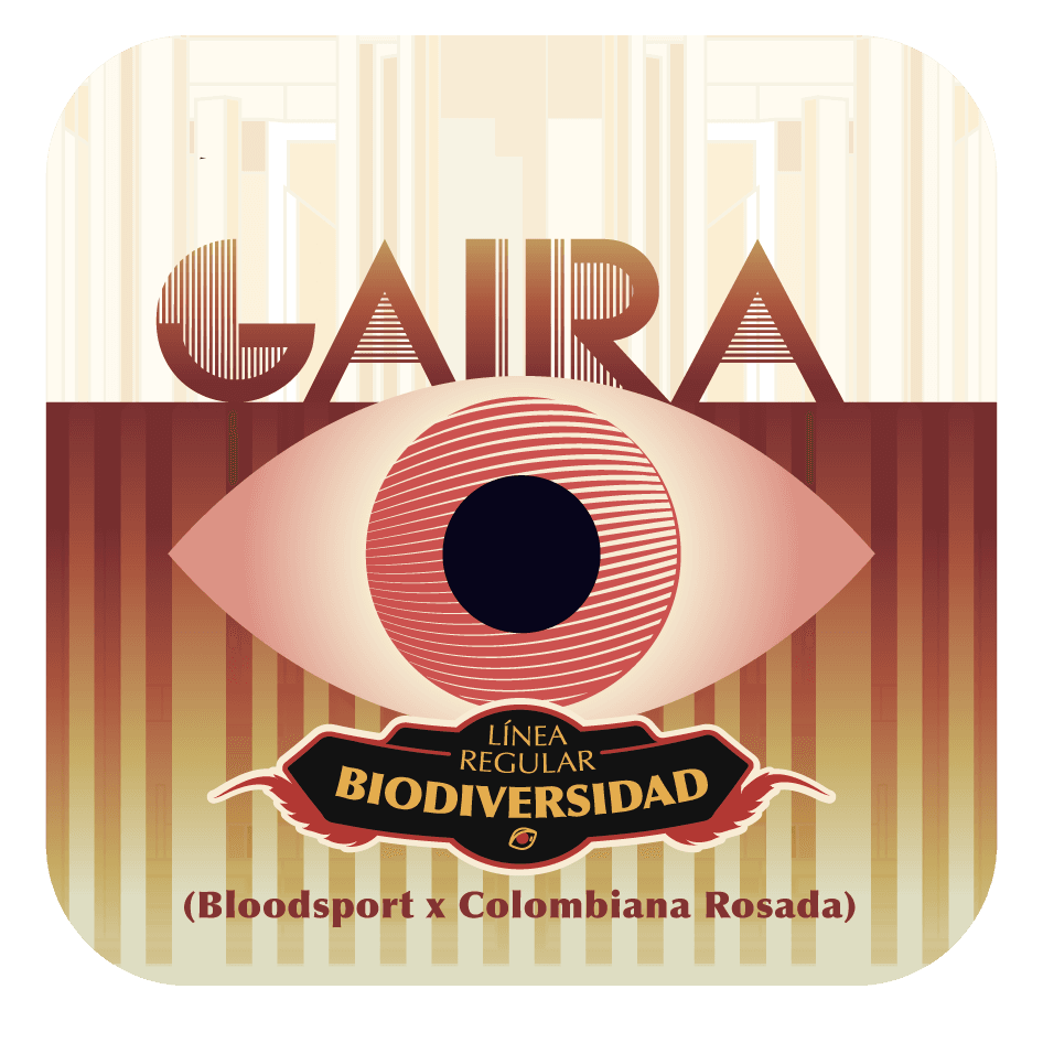 Gaira