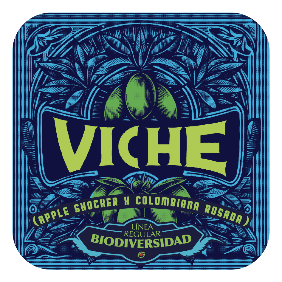 Viche