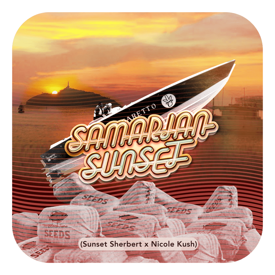 Samarian Sunset