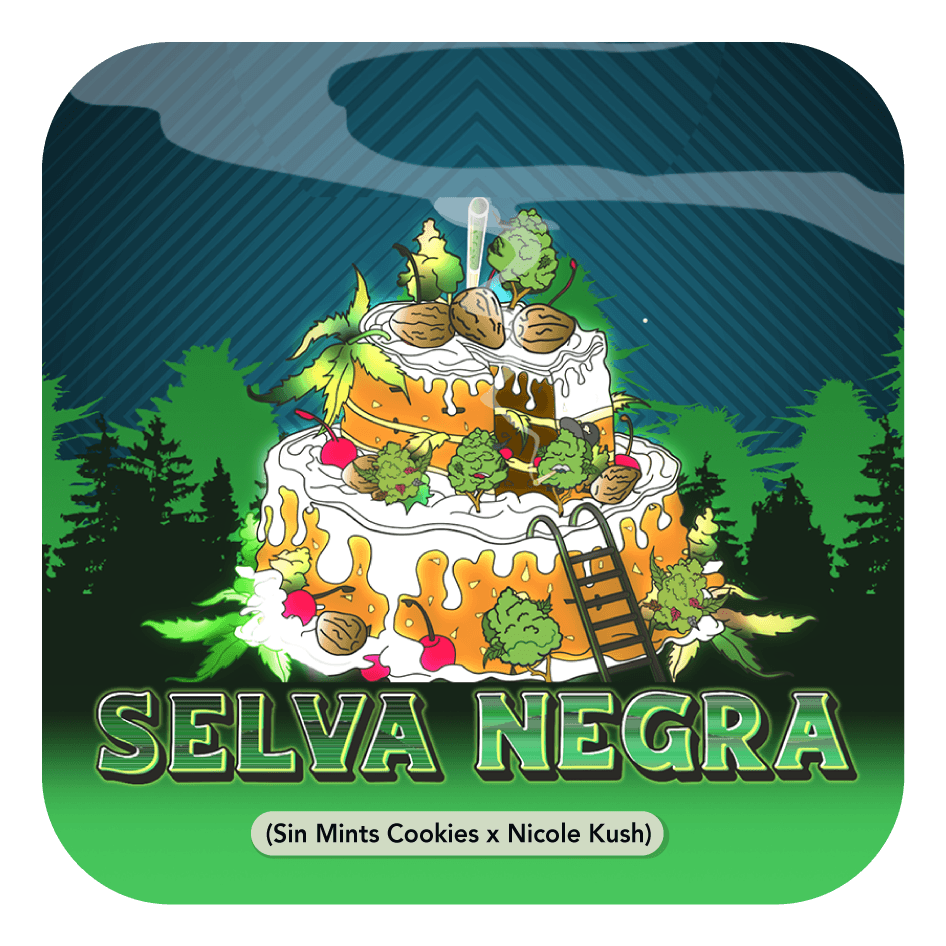 Selva Negra