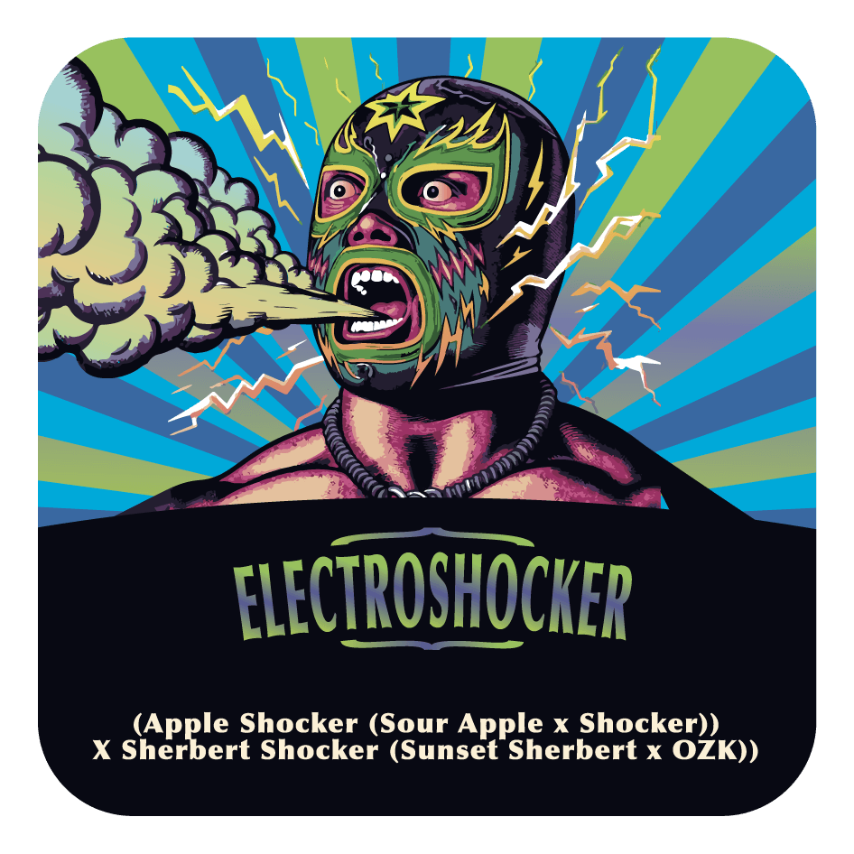 Electroshocker