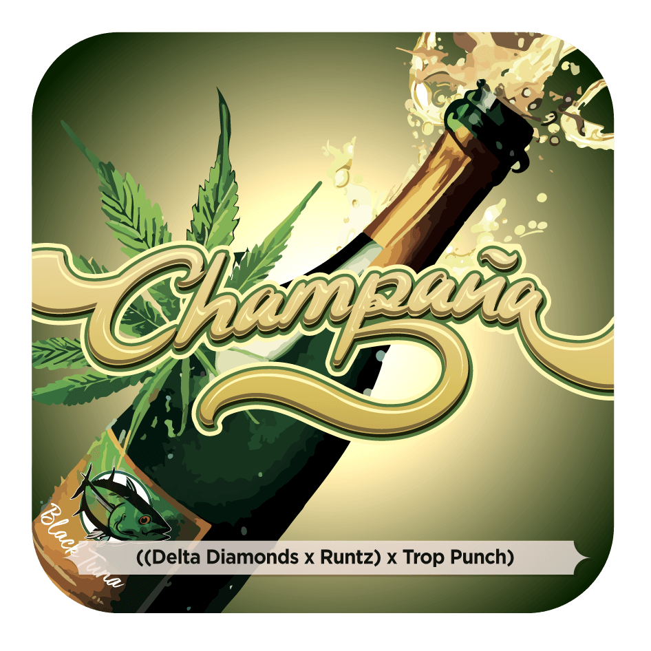 Champaña