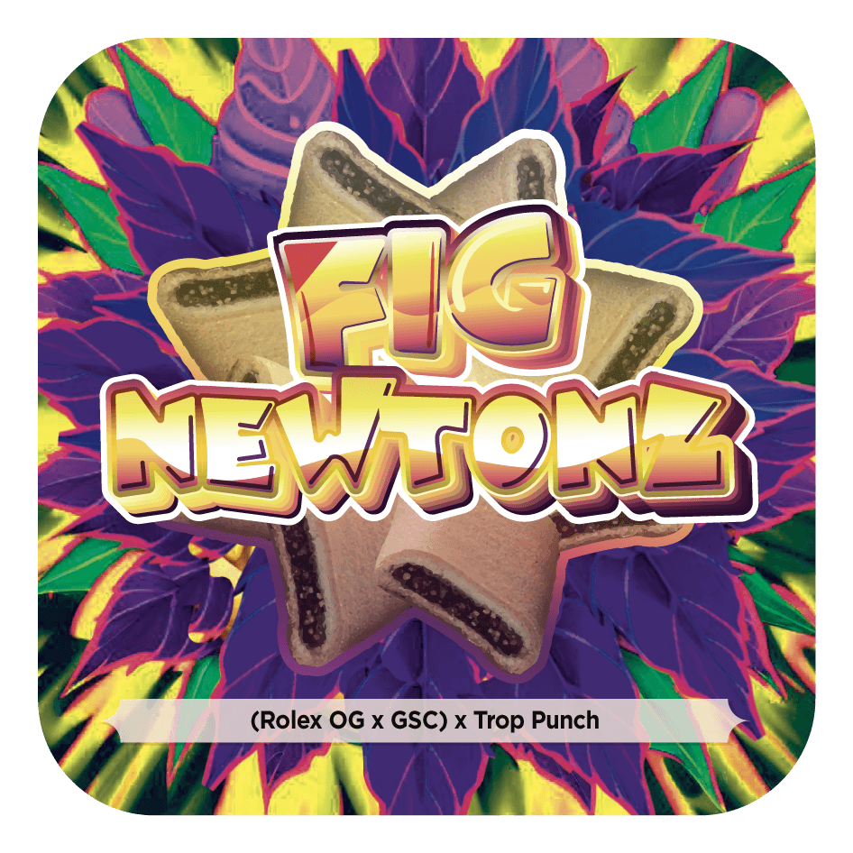Fig Newtonz