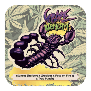 Grape Venom