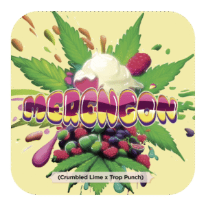 Merengón
