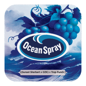 Ocean Spray