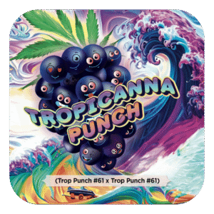 Tropicanna Punch