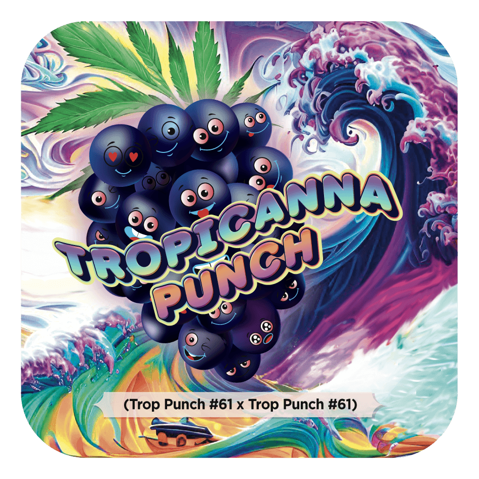 Tropicanna Punch