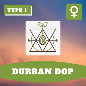 Durban Dop