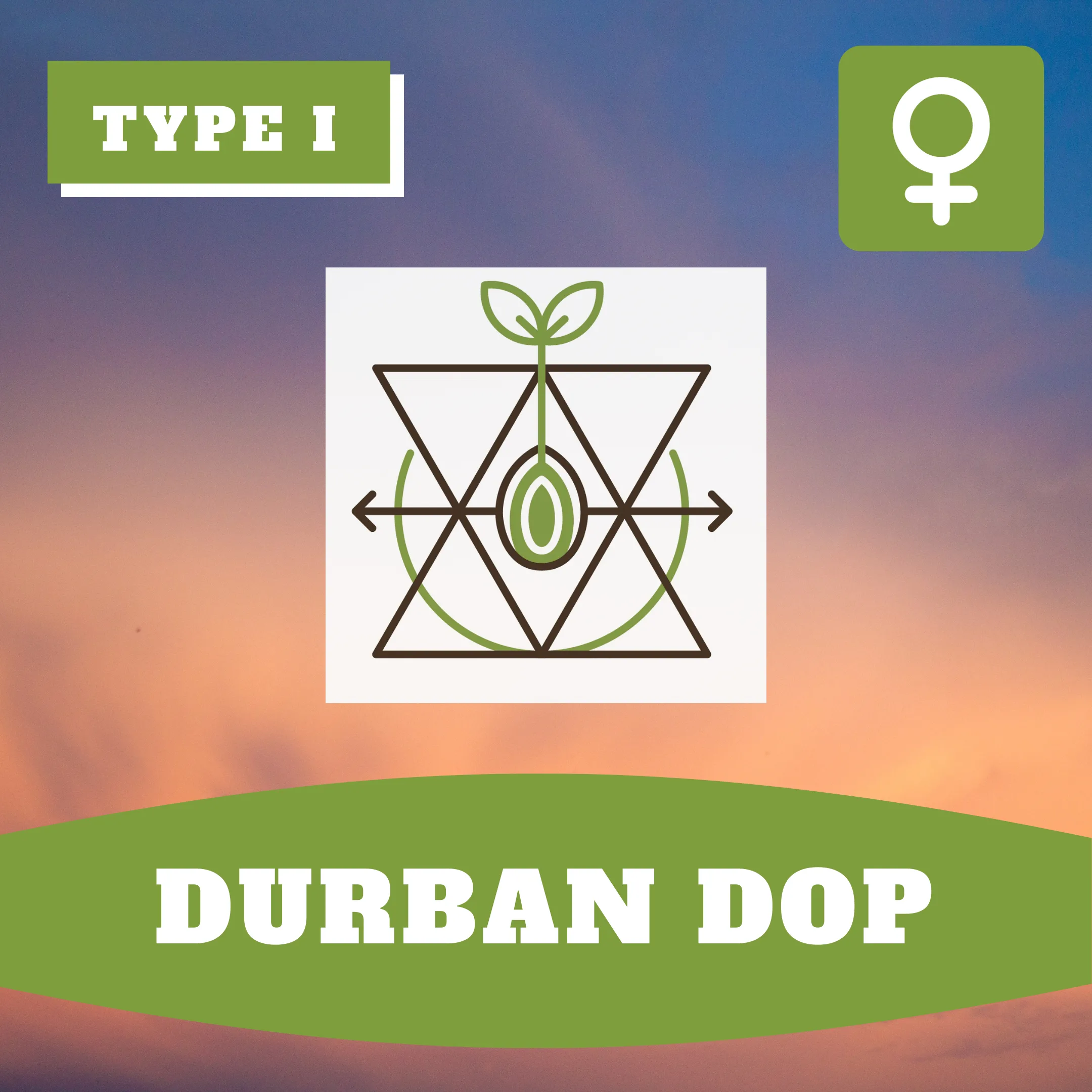 Durban Dop
