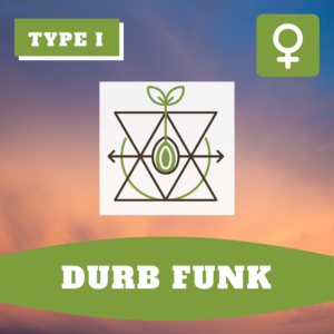 Durban Funk