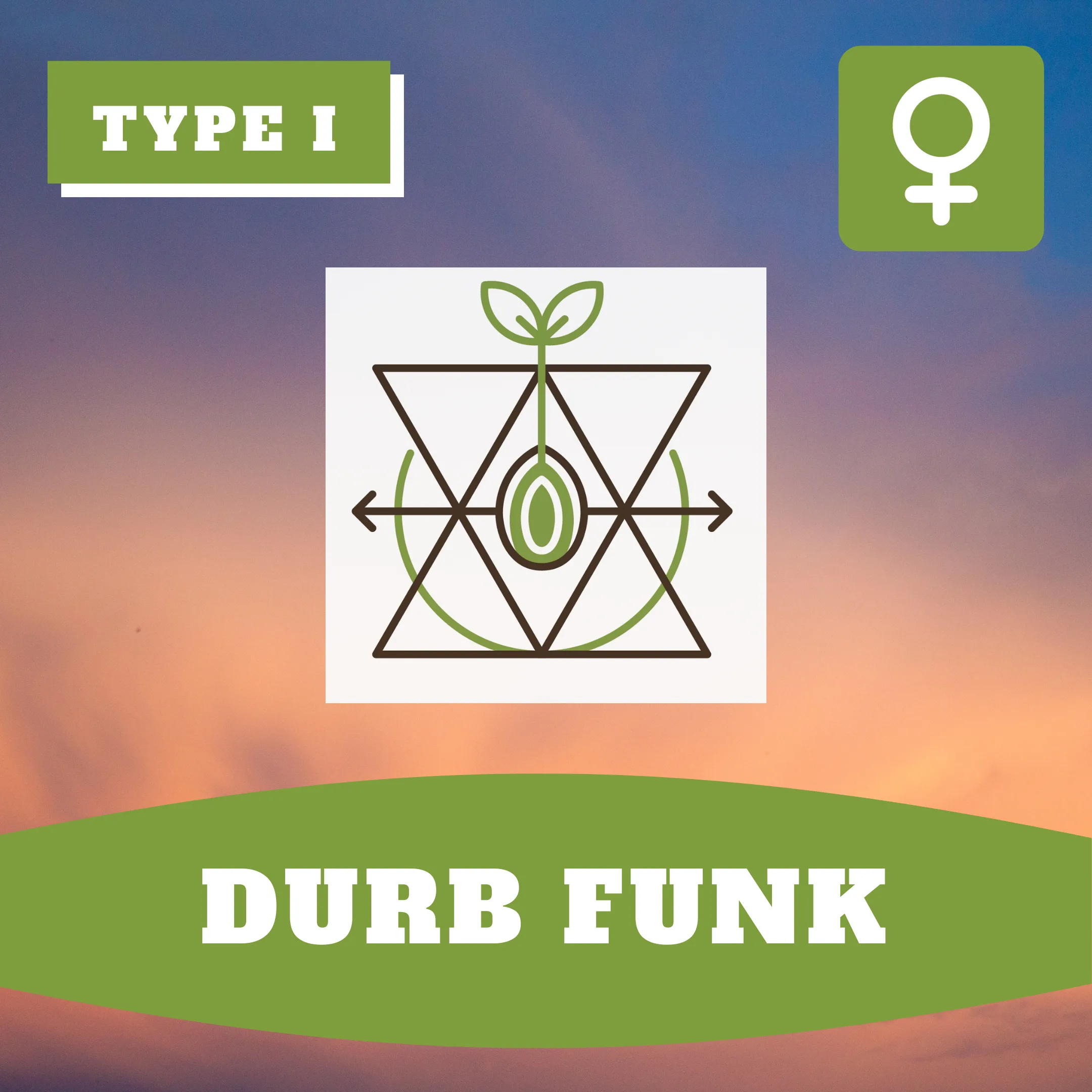 Durban Funk
