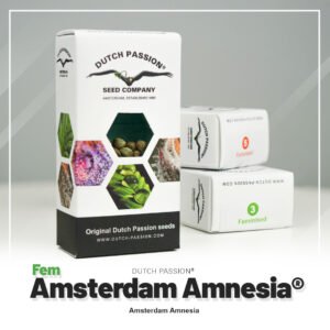 Amsterdam Amnesia®