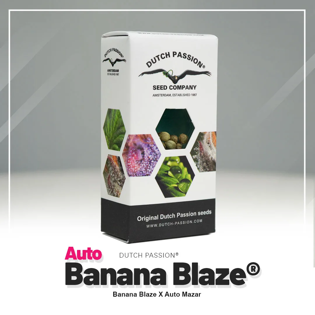 Auto Banana Blaze®