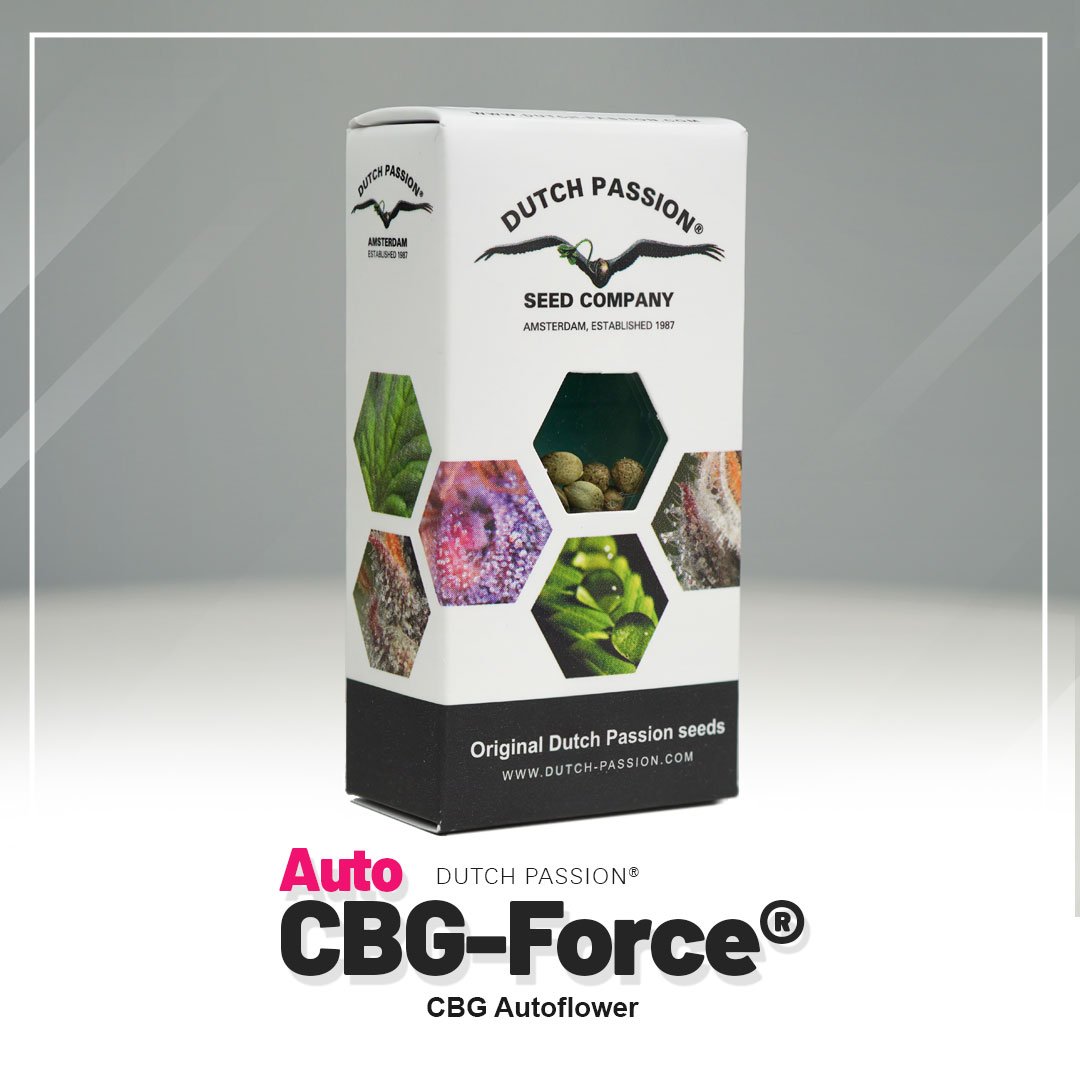 Auto CBG-Force®