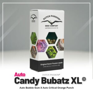 Auto Candy Bubatz XL