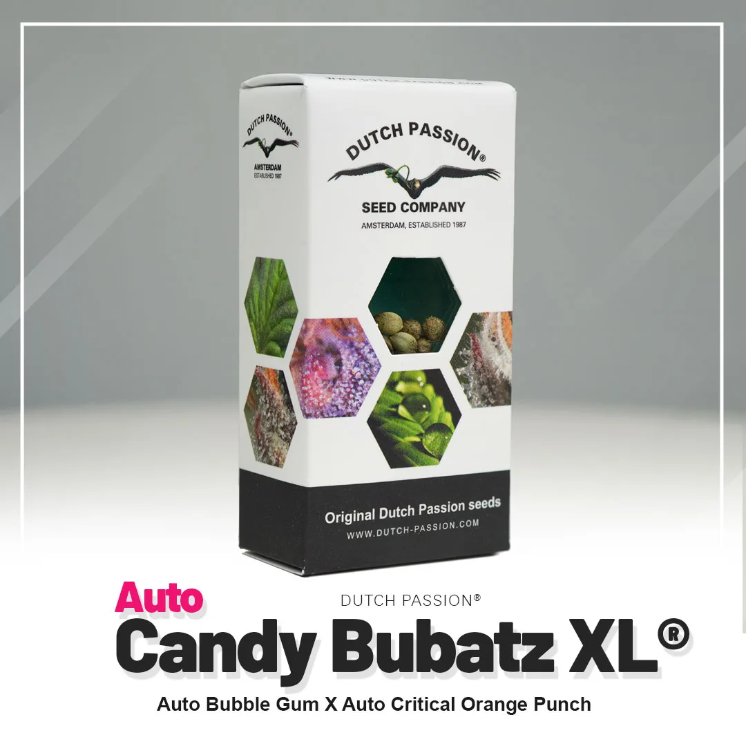 Auto Candy Bubatz XL