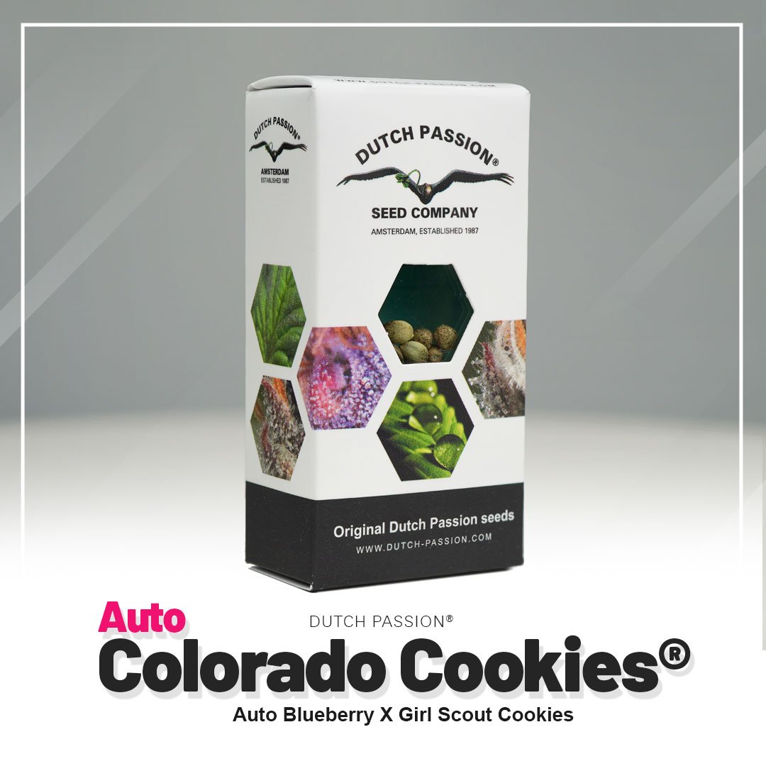 Auto Colorado Cookies®