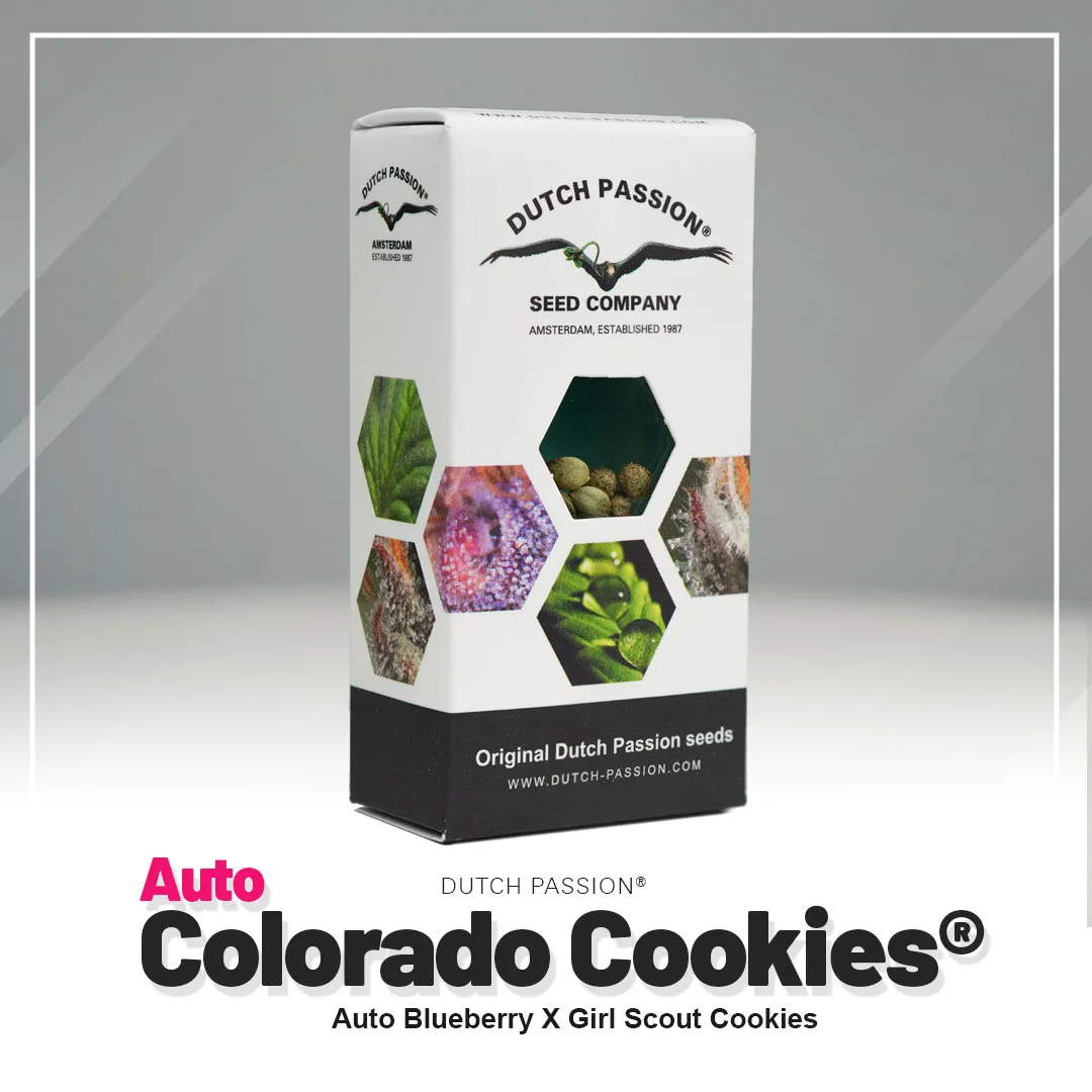 Auto Colorado Cookies®