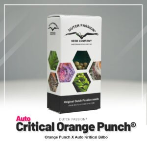 Auto Critical Orange Punch®